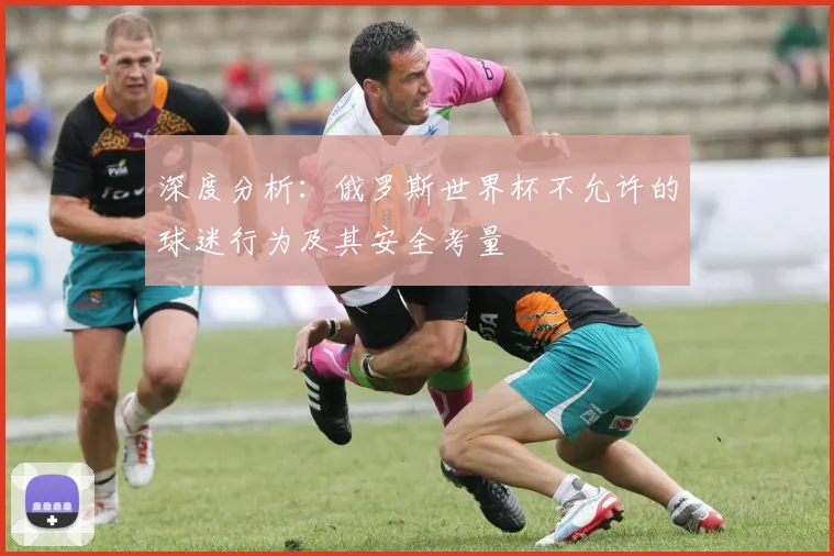 深度分析：俄罗斯世界杯不允许的球迷行为及其安全考量