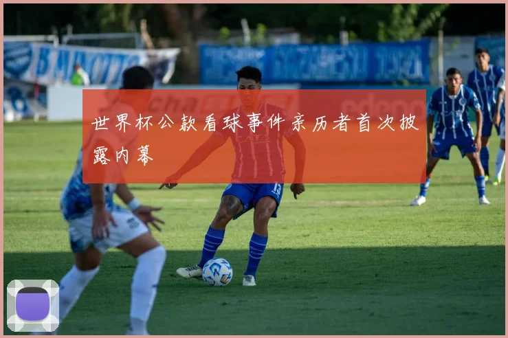 世界杯公款看球事件亲历者首次披露内幕