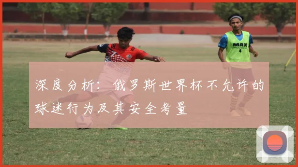深度分析：俄罗斯世界杯不允许的球迷行为及其安全考量
